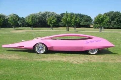 profile pink panther car in a green park